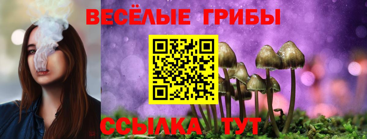 Псилоцибиновые грибы GOLDEN TEACHER  Вход с VPN  Орск 